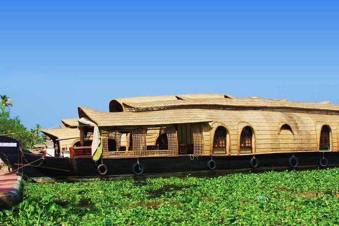 Shore Excursions From Cochin Cruise Terminal - Inclusions and Services Provided