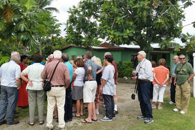 Shore Excursions - "Historical and Cultural Tour" of Nadi With Lunch Stop - Garden of the Sleeping Giants