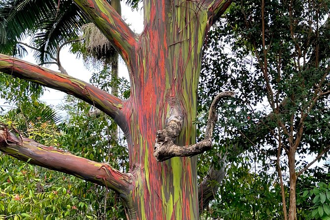 Shore Excursions of Maui - Must-Visit Attractions in Maui