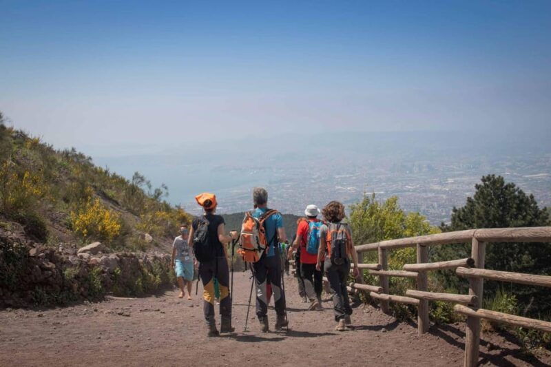 Shore Excursions: Pompeii & Vesuvius shared guided tour - Good To Know
