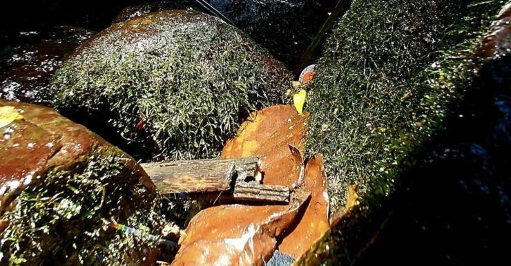 Shore Excursions - Cultural Immersion Experiences