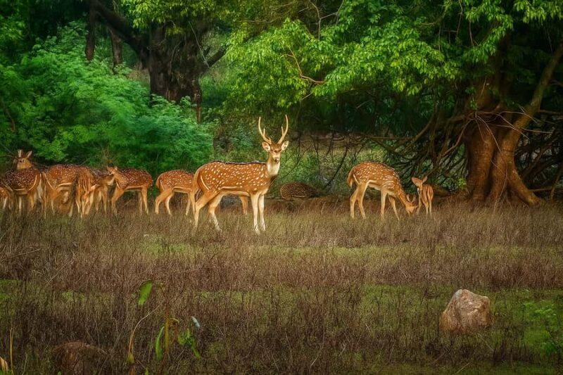 Shore Mumbai : 1 or 2 Days Customizable Private Experience - Exploring the highlights: what can you expect?