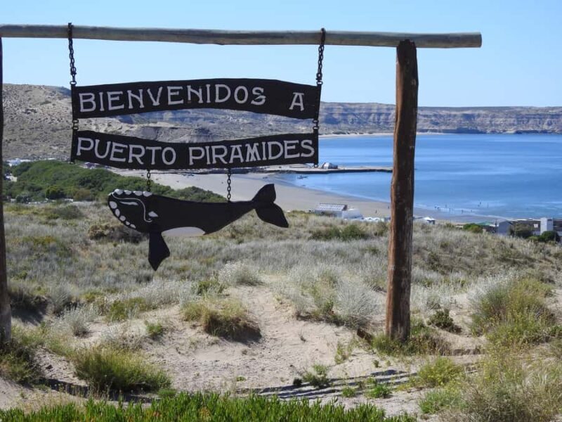 Shore Tours Peninsula Valdes Puerto Madryn Cruise Passengers - Who Will Love This Tour?