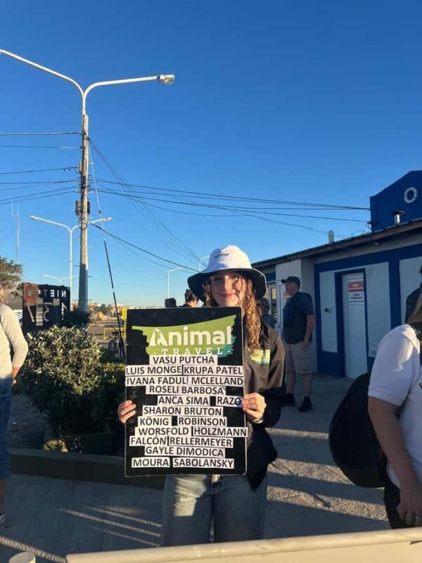 Shore Tours Peninsula Valdes Puerto Madryn Cruise Passengers - FAQ About the Peninsula Valdés Shore Tour