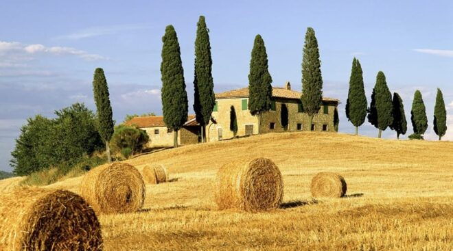 Shore Trip From La Spezia: Pisa,Lucca,Lunch & Tasting Winery - Wine Tasting Experience