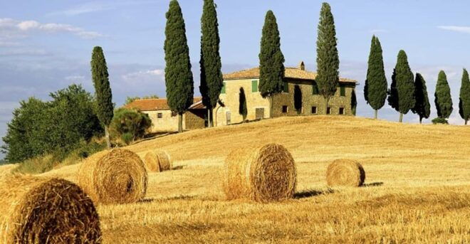 Shore Trip From La Spezia: Pisa,Lucca,Lunch & Tasting Winery - Important Booking Information