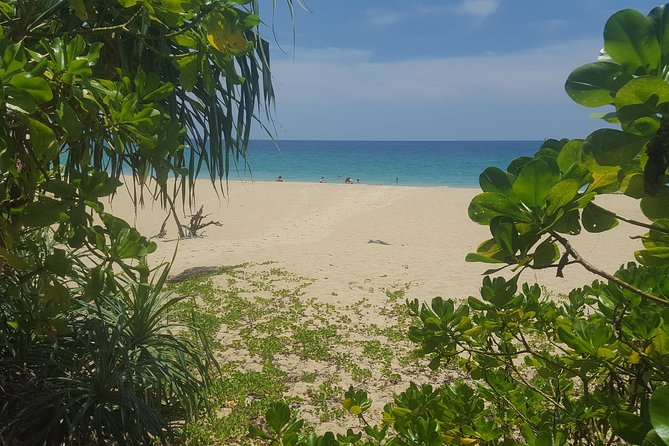 Shoreline Cruise and Secluded Beach - Pickup and Cancellation Details