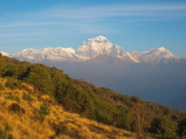 Short and Scenic: 3-Day Ghorepani Poon Hill Trek Adventure - Booking and Cancellation Policies