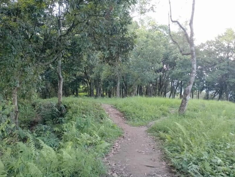 Short and Sweet: 3-Hour Hike with Views from Pokhara - Sunset Magic