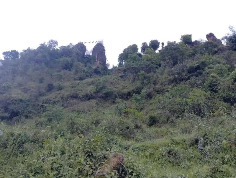 Short and Sweet: 3-Hour Hike with Views from Pokhara - Why This Tour Works