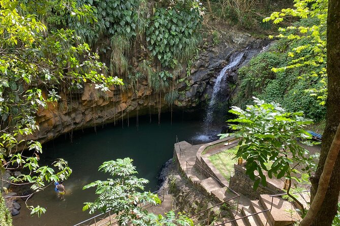 Short Annandale Waterfall and Fort Frederick Tour  - Grenada - Tour Highlights