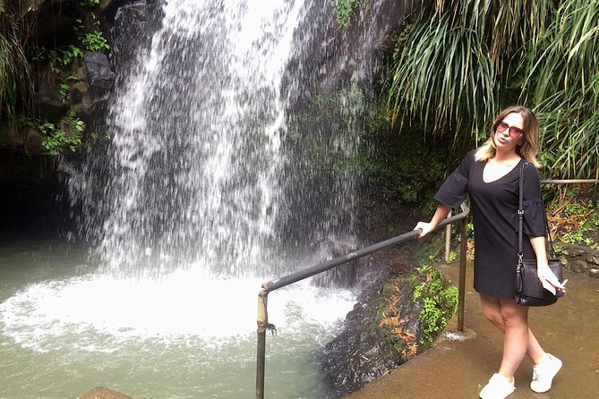 Short Annandale Waterfall and Fort Frederick Tour  - Grenada - Visitor Experiences