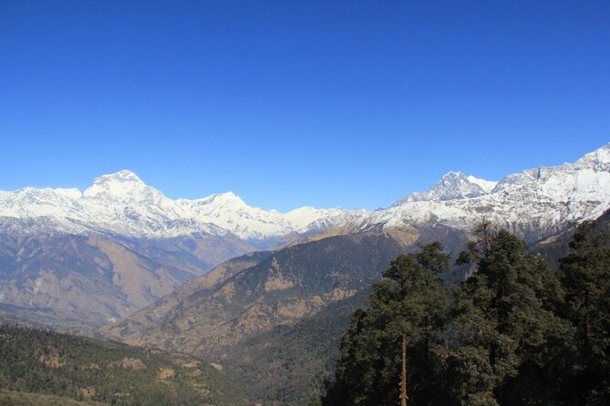 Short Annapurna Base Camp Trek - 7 Days - Physical Requirements and Recommendations