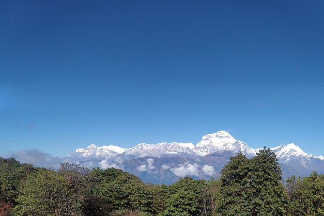Short Annapurna Base Camp Trek From Pokhara - 6 Days - The Sum Up