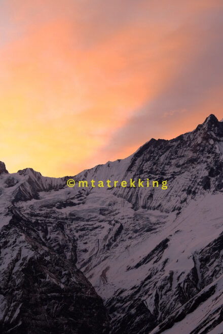 Short Annapurna Base Camp Trek:5 Days From Pokhara: Pokhara - Included Services