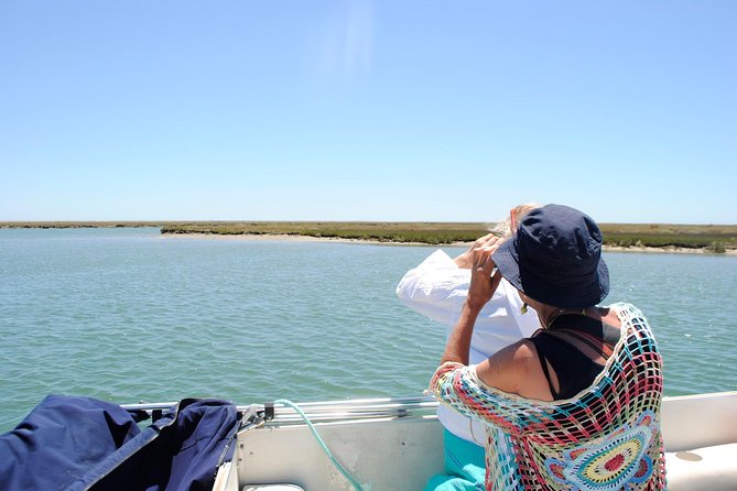 Short Boat Trip of the Algarves Ria Formosa Lagoon From Faro: 1 Hour - Tour Highlights