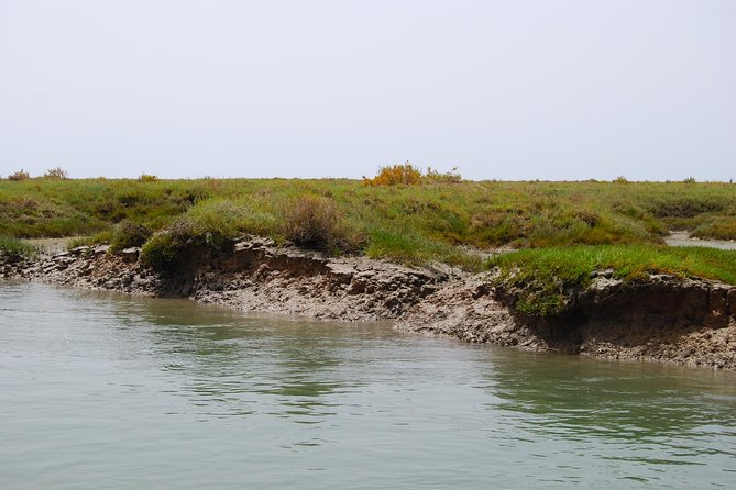 Short Boat Trip of the Algarves Ria Formosa Lagoon From Faro: 1 Hour - Additional Information