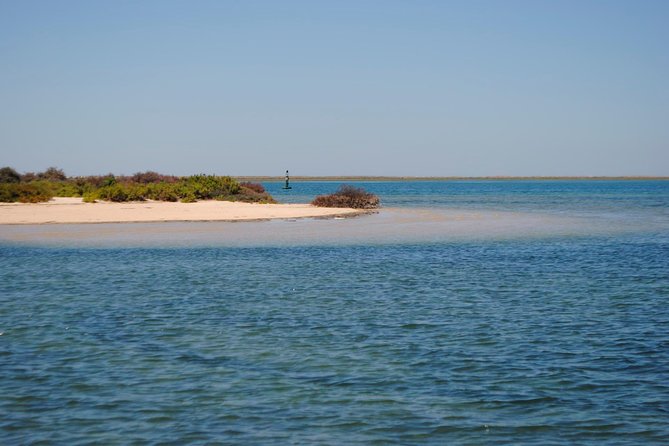 Short Boat Trip of the Algarves Ria Formosa Lagoon From Faro: 1 Hour - Customer Recommendations