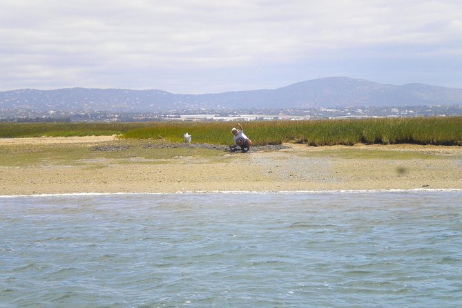 Short Boat Trip of the Algarves Ria Formosa Lagoon From Faro: 1 Hour - Frequently Asked Questions
