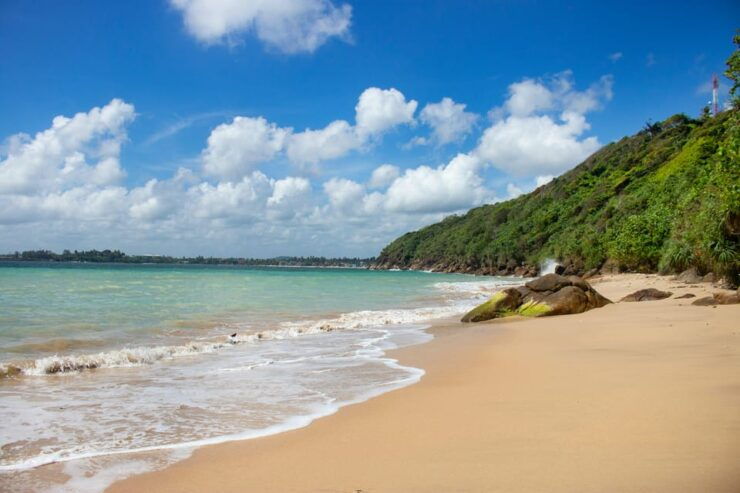 Short Break Sri Lanka South-West Coast 3-Day Tour - Good To Know