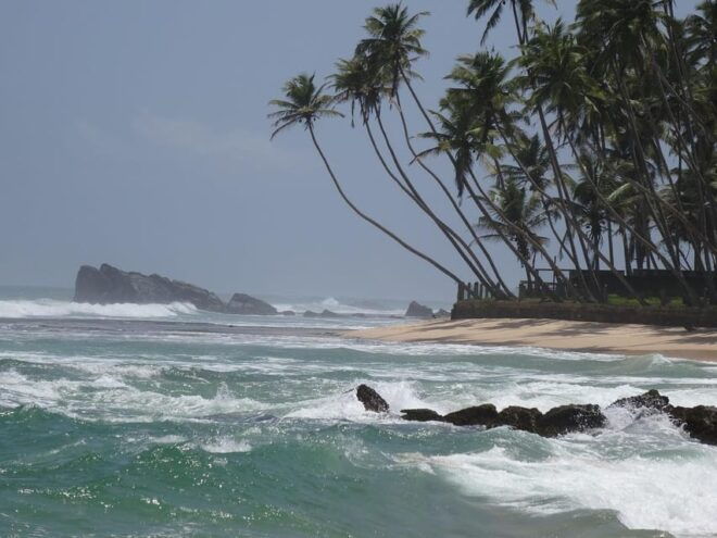 Short Break Sri Lanka South-West Coast 3-Day Tour - Included Features