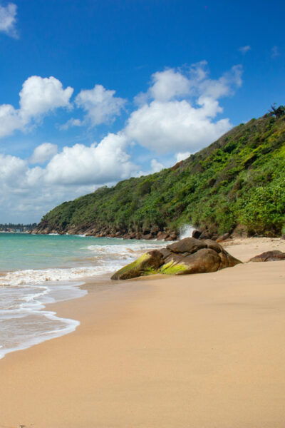 Short Break Sri Lanka South-West Coast 3-Day Tour - Experience Highlights