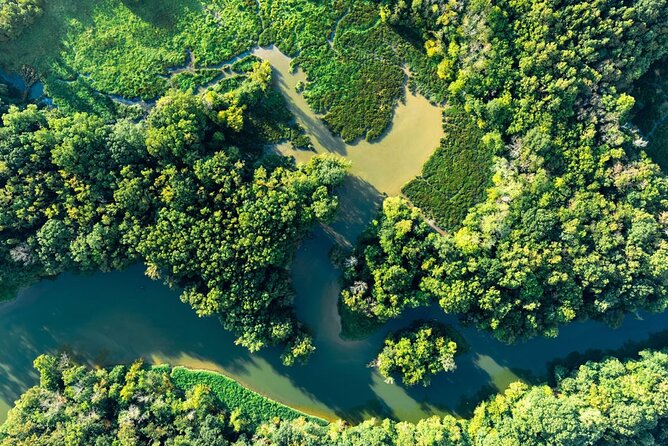 Short Cairns Scenic Flight  - Cairns & the Tropical North - Scenic Highlights