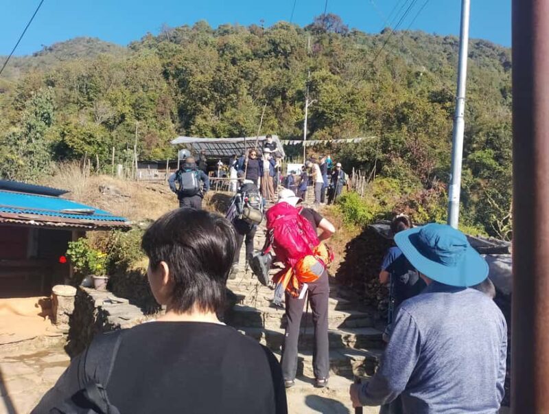 Short Day Trek: Pothana & Australian Camp from Pokhara - Authentic Experiences and Traveler Insights