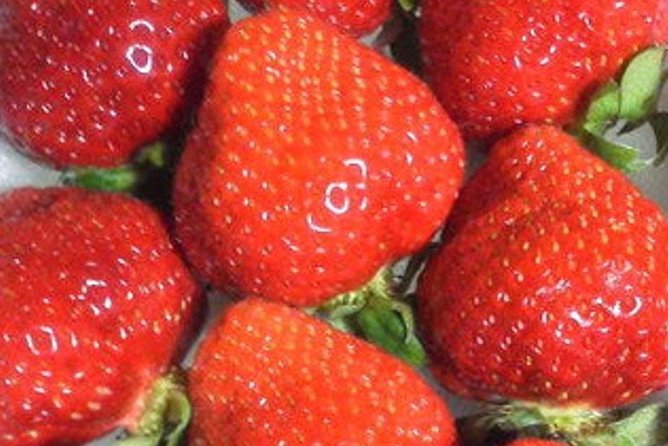 Short Day Trip Chater Bus to Strawberry Picking & Shop in Fukuoka - Directions