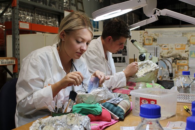 Short Eromanga Natural History Museum Dinosaur Tour  - Queensland - Guided Tour of the Holotype Room