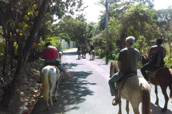 Short Excursion horseback riding tours on the beach and mountain - Who Should Consider This Tour?