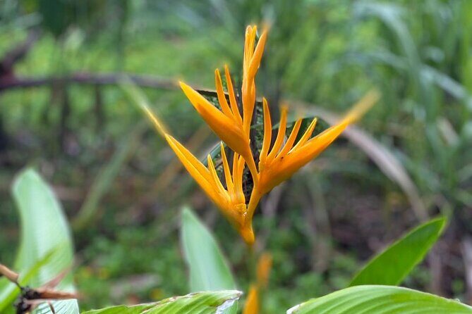 Short Excursion horseback riding tours on the beach and mountain - FAQ
