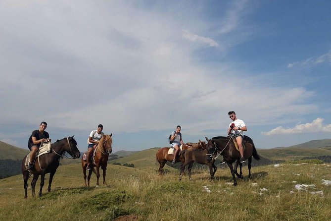 Short Horseback Riding - Kolasin - Reviews