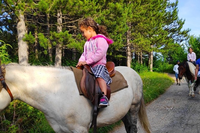 Short Horseback Riding - Kolasin - Directions