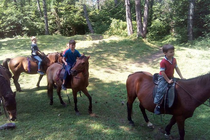 Short Horseback Riding - Kolasin - Meeting Point