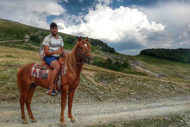 Short Horseback Riding - Kolasin - Cancellation Policy