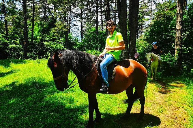Short Horseback Riding - Kolasin - Frequently Asked Questions