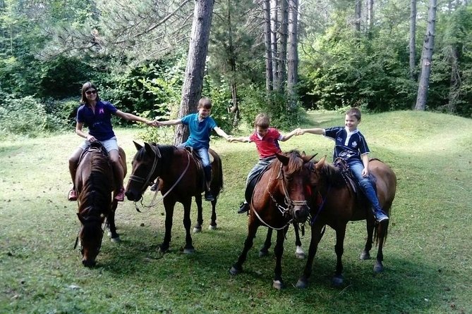 Short Horseback Riding - Kolasin - The Sum Up