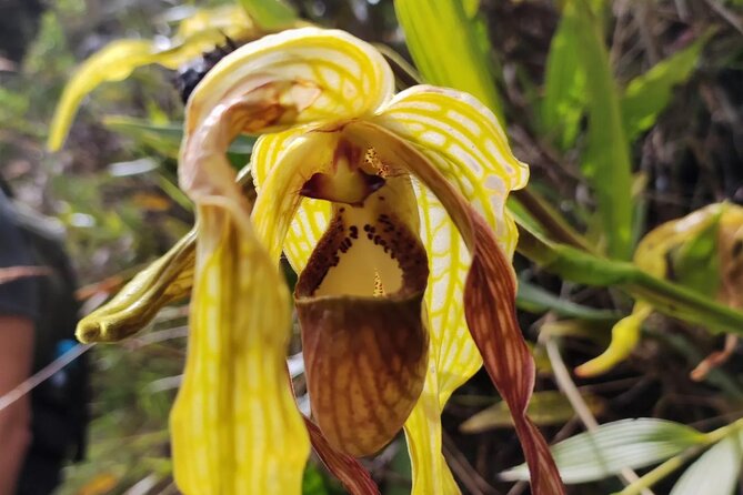 Short Inca Trail 2 Days to Machu Picchu - Inclusions and Accommodation