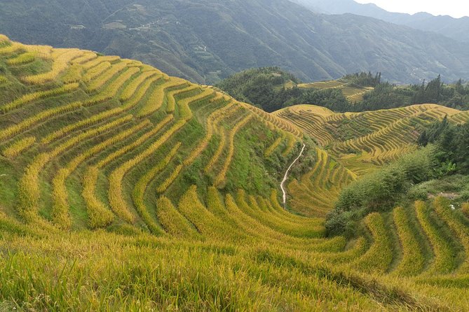 Short Li-River Cruise and Longji Rice Terraces Private Day Tour - Traveler Recommendations