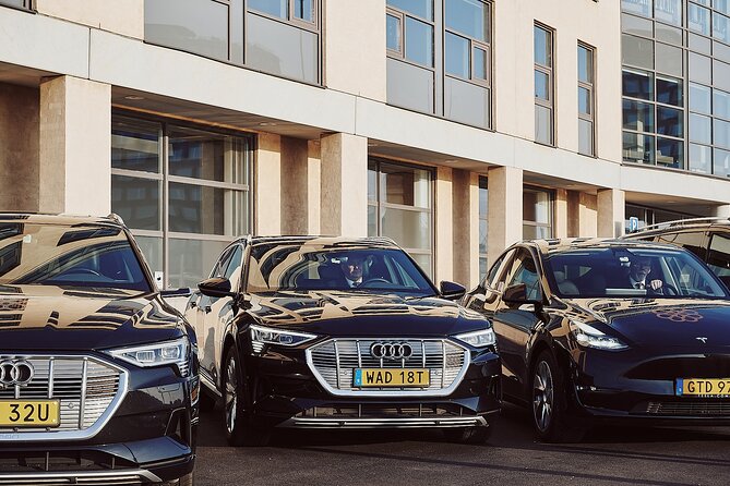 Short Malmo Tesla or Mercedes Experience  - Malmö - Touring Destinations