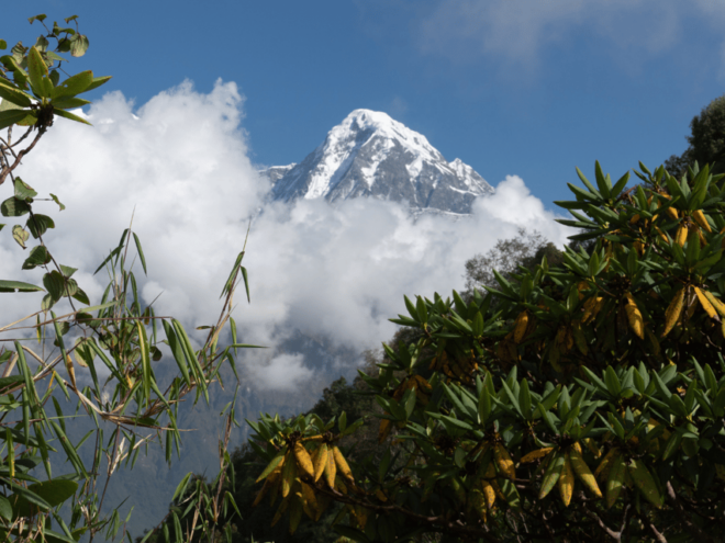Short Mardi Himal Trek: a Perfect 5-Day Escape From Pokhara - Highlights of the Trek