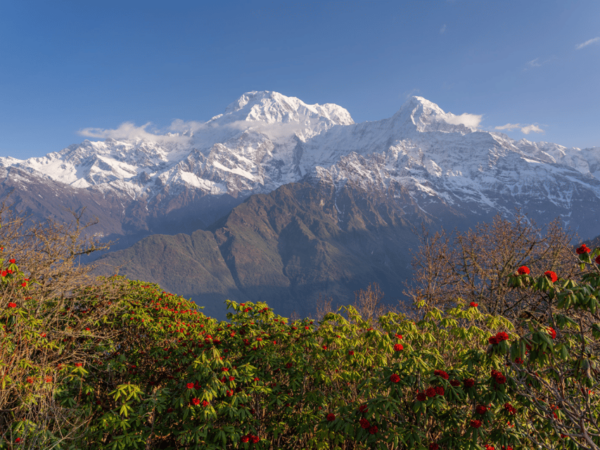 Short Mardi Himal Trek: a Perfect 5-Day Escape From Pokhara - Break Down