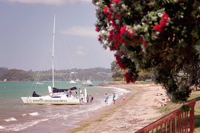 Short Paihia Sundown Cruise - Overview and Experience