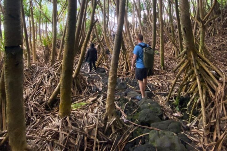 Short Private Hike To Secret Jungle Tide Pool - Activity Details