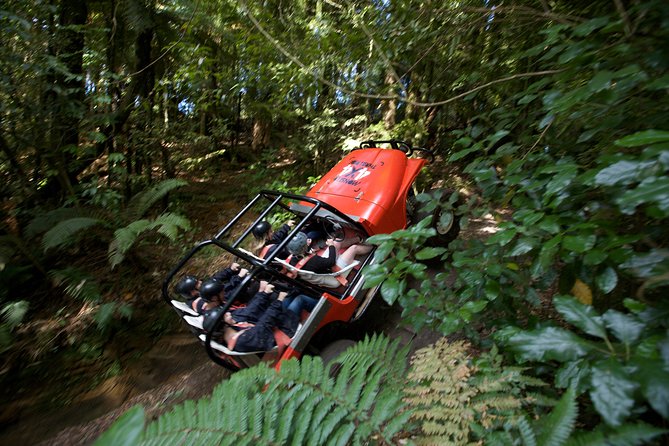 Short Rotorua 4-Wheel Drive Adventure - Adventure Details