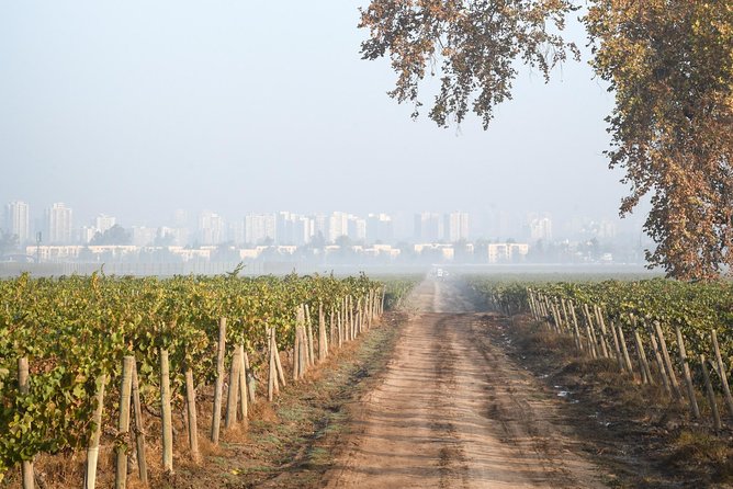 Short Santiago Winery Tour - Inclusions