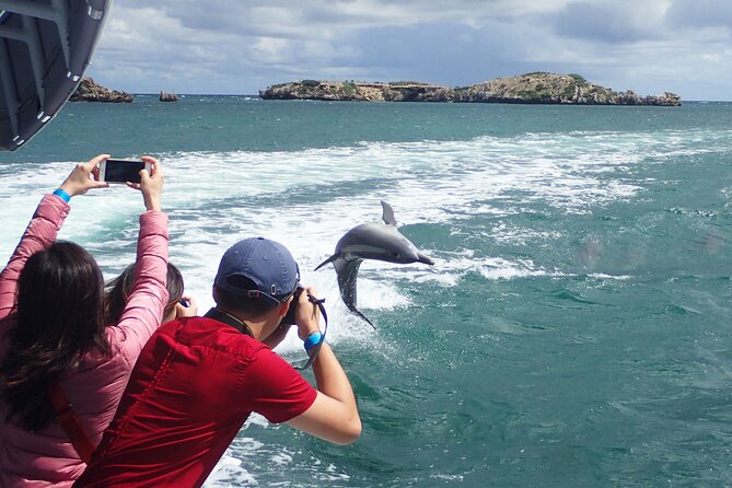 Short Shoalwater Snorkeling Experience  - Perth - Pricing and Value