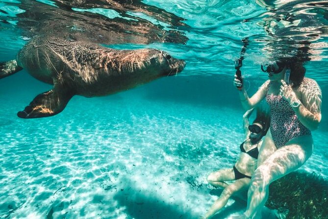 Short Shoalwater Snorkeling Experience  - Perth - Food and Dining