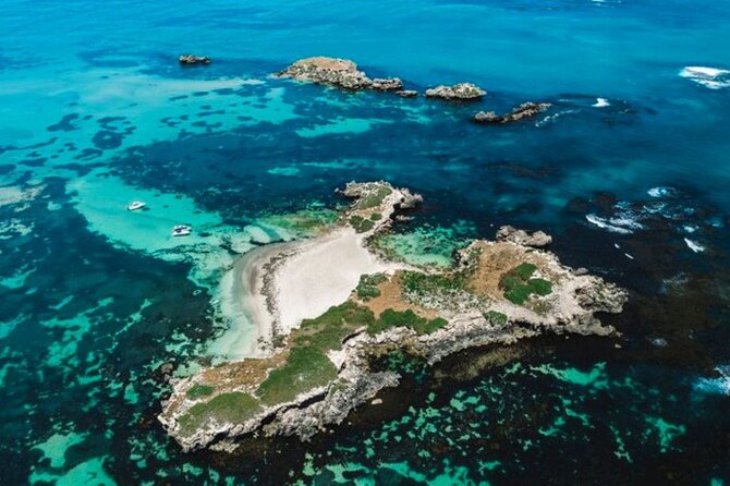 Short Shoalwater Snorkeling Experience  - Perth - Customer Reviews